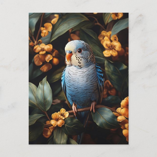 Blue Budgie Budgerigar Yellow Flowers Postcard (Front)