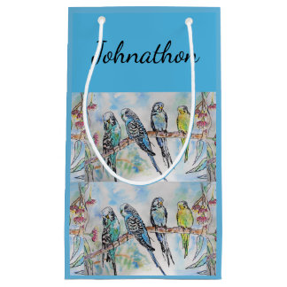 Blue Budgie Budgies Art Watercolor Birds Mens Name Small Gift Bag