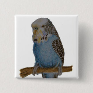 blue budgie button