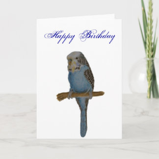 Blue Budgie Card