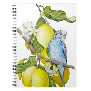 Blue Budgie in Lemon Tree Watercolor Botanical Art Notebook