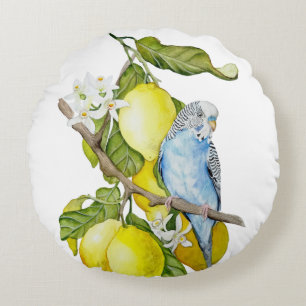 Blue Budgie in Lemon Tree Watercolor Botanical Art Round Cushion