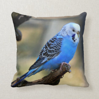 Blue Budgie Parrot Bird Cushion