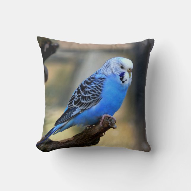 Blue Budgie Parrot Parakeet Cushion (Front)