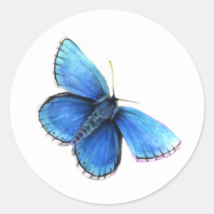 Blue buterfly eden logo watercolor stickers