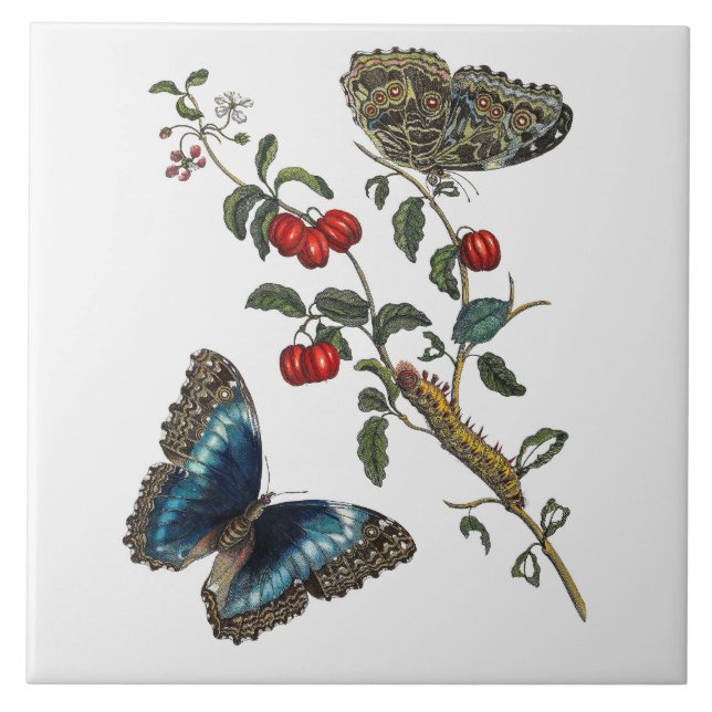  Blue Butterflies and Red Fruits Tile (Front)