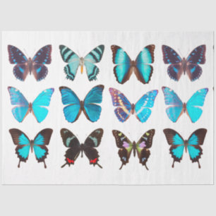 Blue Butterflies Butterfly Collection Decoupage Tissue Paper