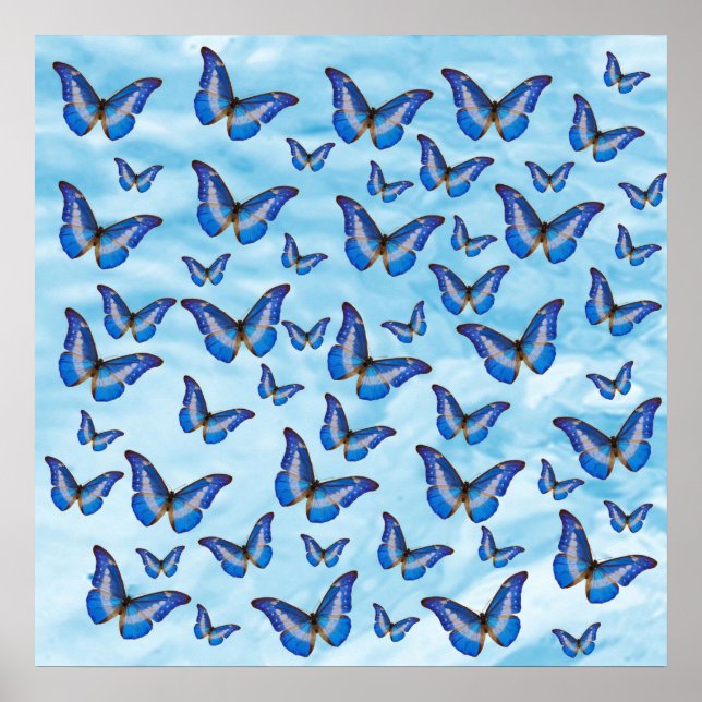 Blue Butterflies Poster (Front)