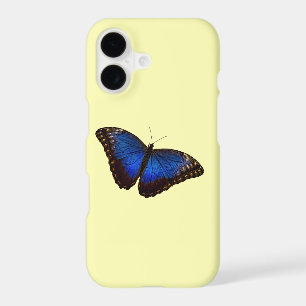 Blue Butterfly