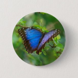 Blue Butterfly 6 Cm Round Badge