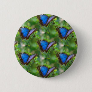Blue Butterfly 6 Cm Round Badge