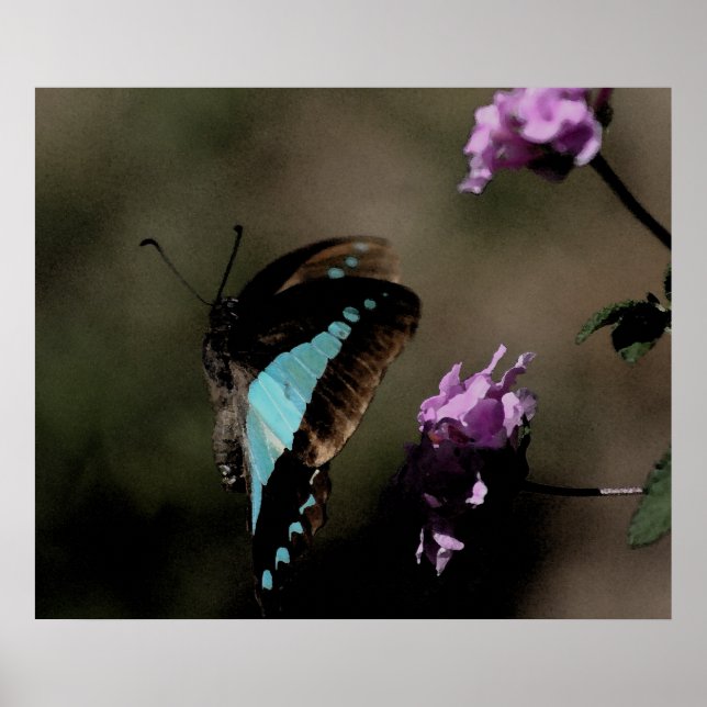 Blue Butterfly Abstract Poster (Front)