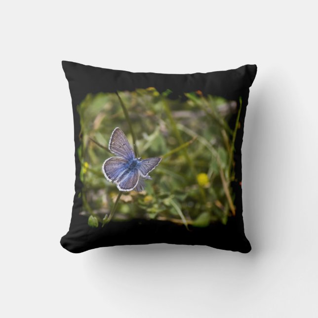 Blue Butterfly Black Edge Cushion (Front)