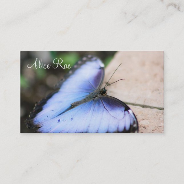 Blue Butterfly Business Card (Front)