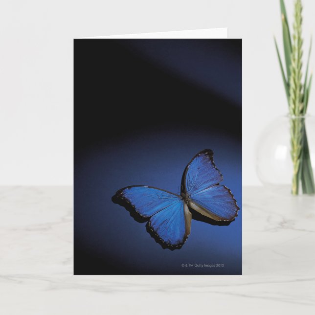 Blue butterfly card (Front)