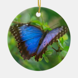 Blue Butterfly Ceramic Ornament
