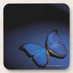 Blue butterfly coaster
