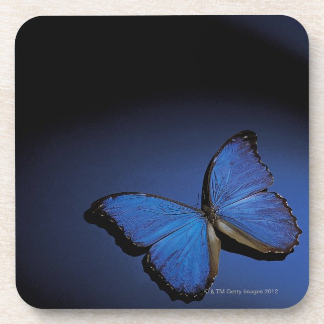 Blue butterfly coaster (Front)