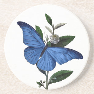 Blue Butterfly Coaster
