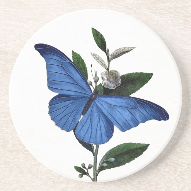 Blue Butterfly Coaster (Front)