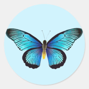 Blue Butterfly Envelope Seals