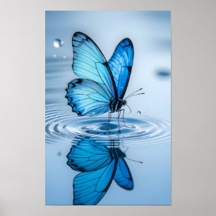 Blue Butterfly Framed Art Poster