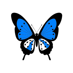 Blue Butterfly Golf Balls