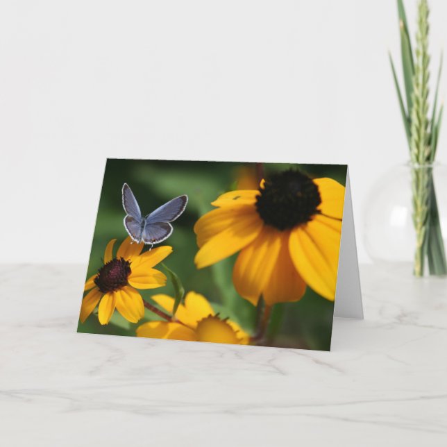 Blue Butterfly Greeting Card (Front)