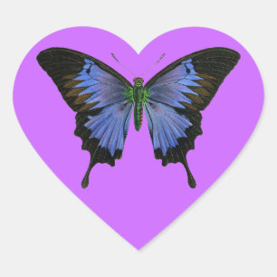 Blue Butterfly Heart Shape Stickers