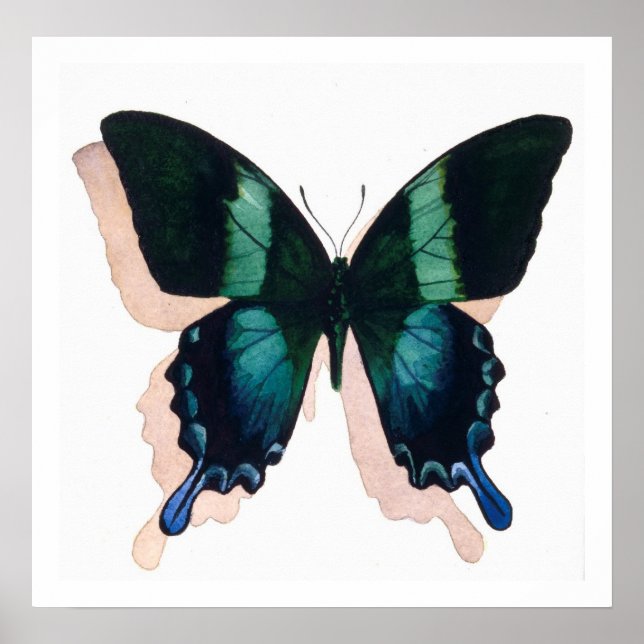 "Blue Butterfly" Insect Watercolor Art Poster (Front)