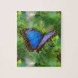 Blue Butterfly Jigsaw Puzzle