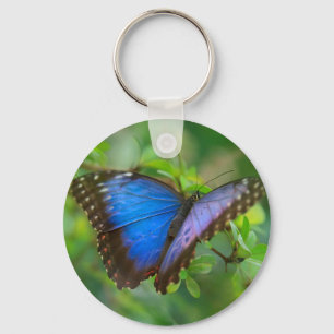 Blue Butterfly Key Ring