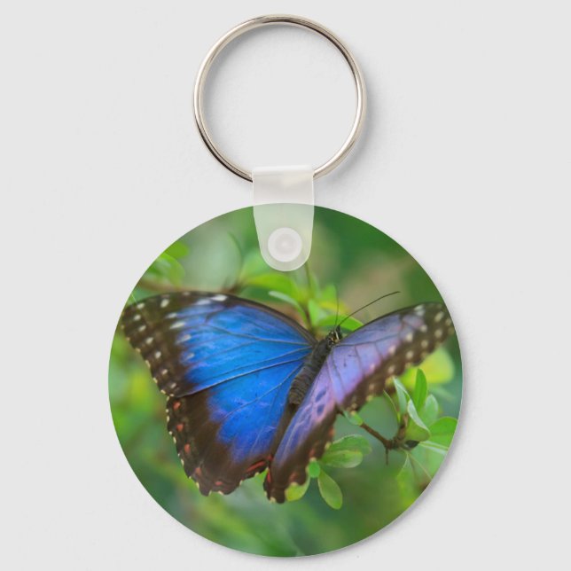 Blue Butterfly Key Ring (Front)