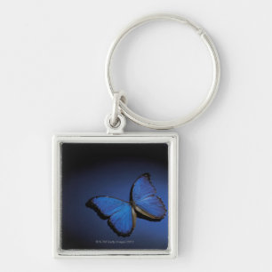 Blue butterfly key ring