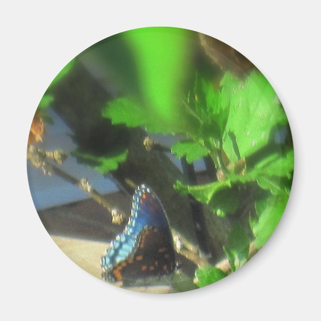 Blue Butterfly Magnet (Front)