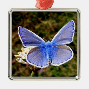 Blue Butterfly Metal Tree Decoration