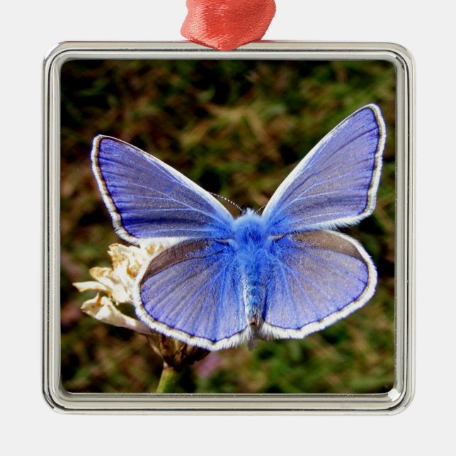 Blue Butterfly Metal Tree Decoration (Front)