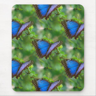 Blue Butterfly Mouse Mat