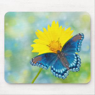 Blue Butterfly Mouse Mat