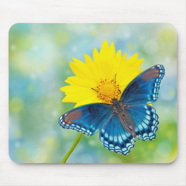 Blue Butterfly Mouse Mat (Front)
