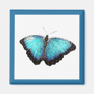 Blue Butterfly Nature Art, Fine Photo Illustration Magnet