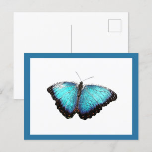 Blue Butterfly Nature Art, Fine Photo Illustration Postcard