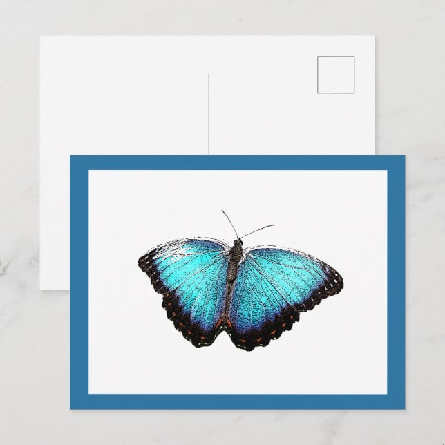 Blue Butterfly Nature Art, Fine Photo Illustration Postcard (Front/Back)