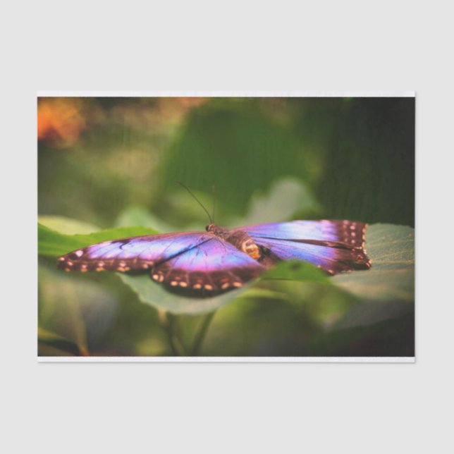 Blue Butterfly Nature Close Up Decoupage Tissue Paper (Front)