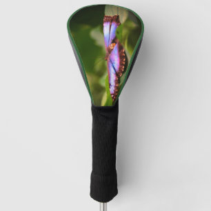 Blue Butterfly Nature Close Up Tint   Golf Head Cover