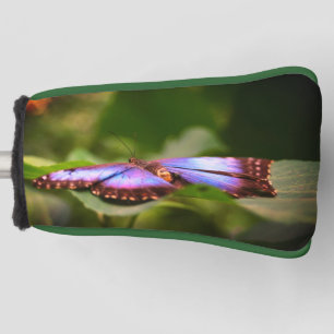 Blue Butterfly Nature Close Up Tint    Golf Head Cover