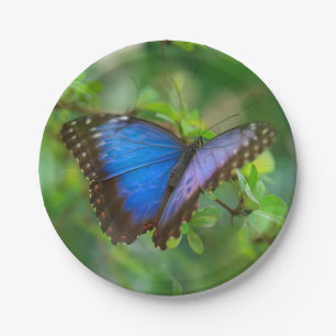 Blue Butterfly Paper Plate