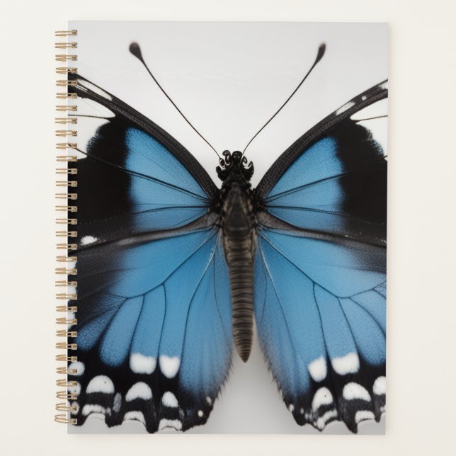 Blue butterfly planner (Front)
