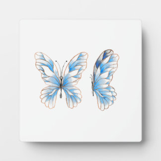 Blue Butterfly Plaque