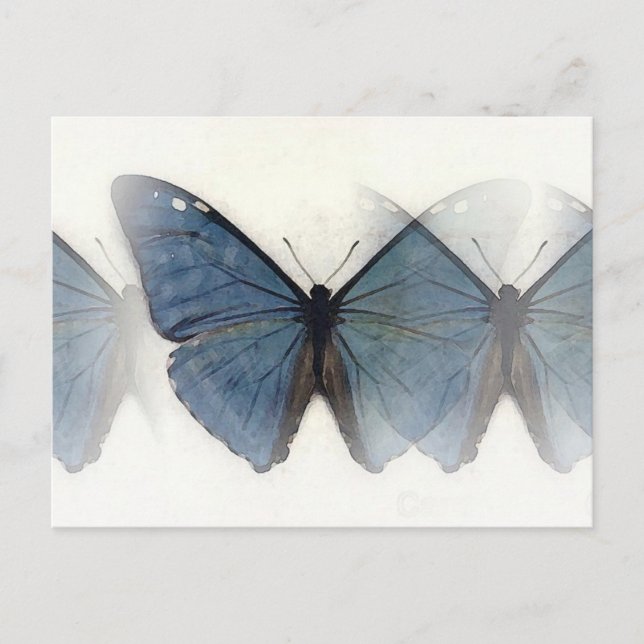 Blue Butterfly Postcard (Front)